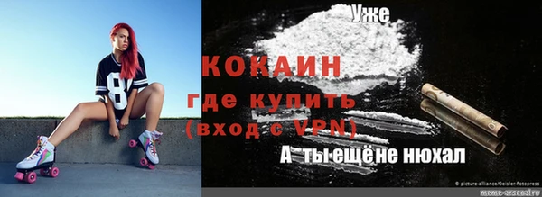 шишки Алексин