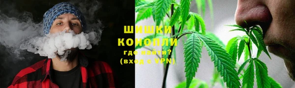 ГАЛЛЮЦИНОГЕННЫЕ ГРИБЫ Алексеевка