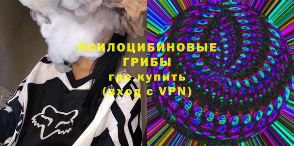 ГАЛЛЮЦИНОГЕННЫЕ ГРИБЫ Алексеевка