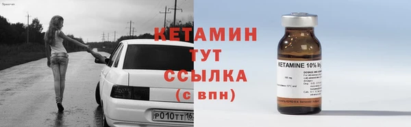 шишки Аркадак