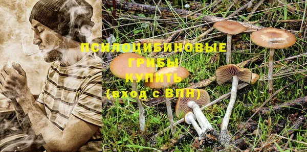 ГАЛЛЮЦИНОГЕННЫЕ ГРИБЫ Алексеевка